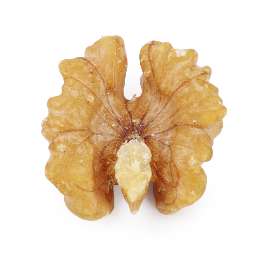 Peeled Walnut Kernels – Agha Dry Fruit (ADF)