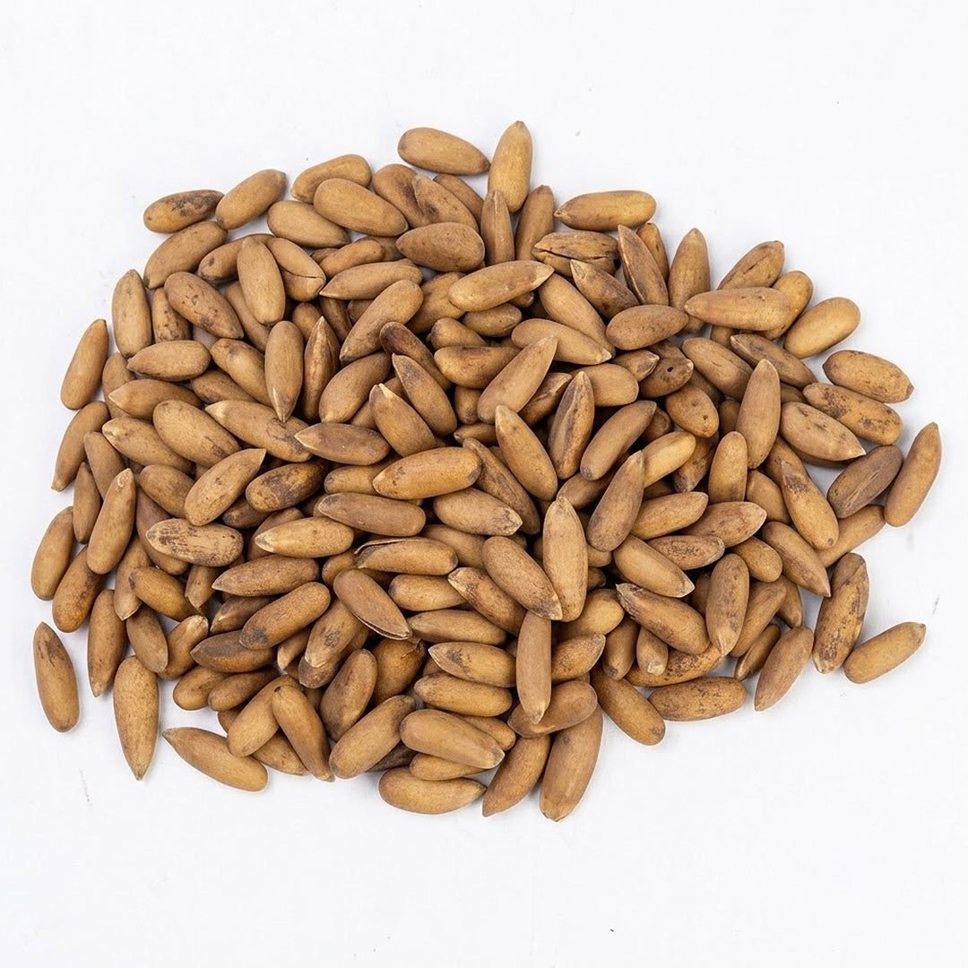 Golden Chilgoza (Pine Nuts) – Agha Dry Fruit