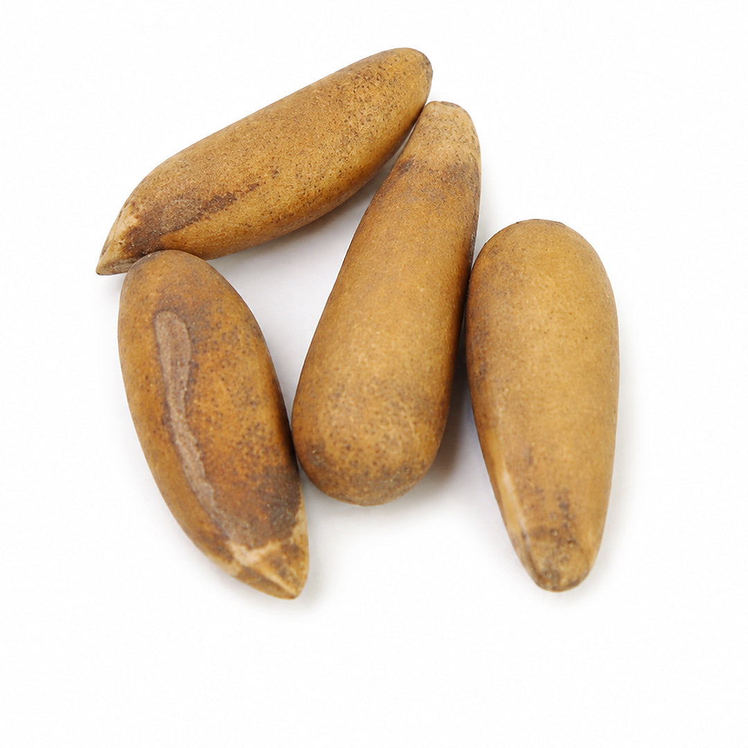 Golden Chilgoza (Pine Nuts) – Agha Dry Fruit