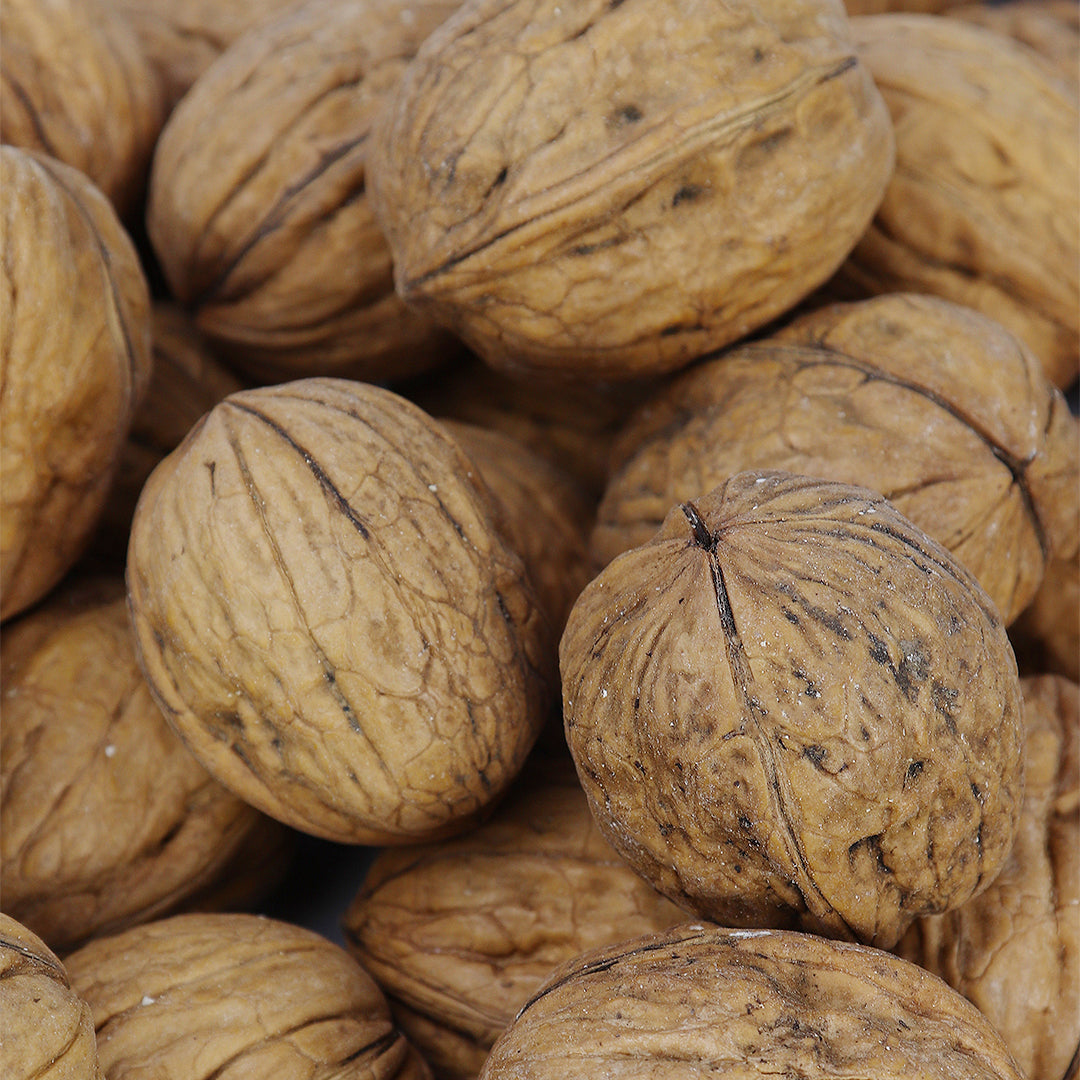 Peeled Whole Walnuts in Shell