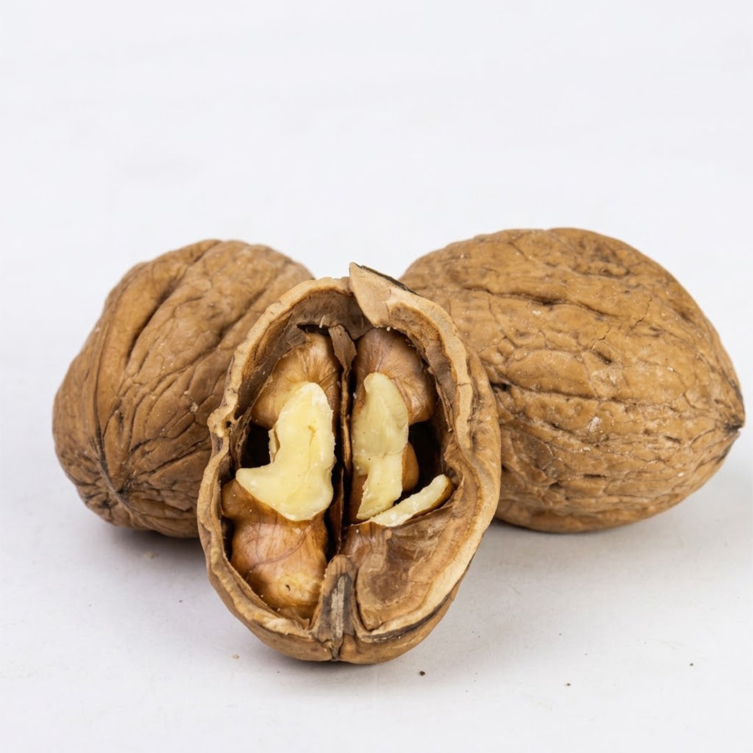 Peeled Whole Walnuts in Shell
