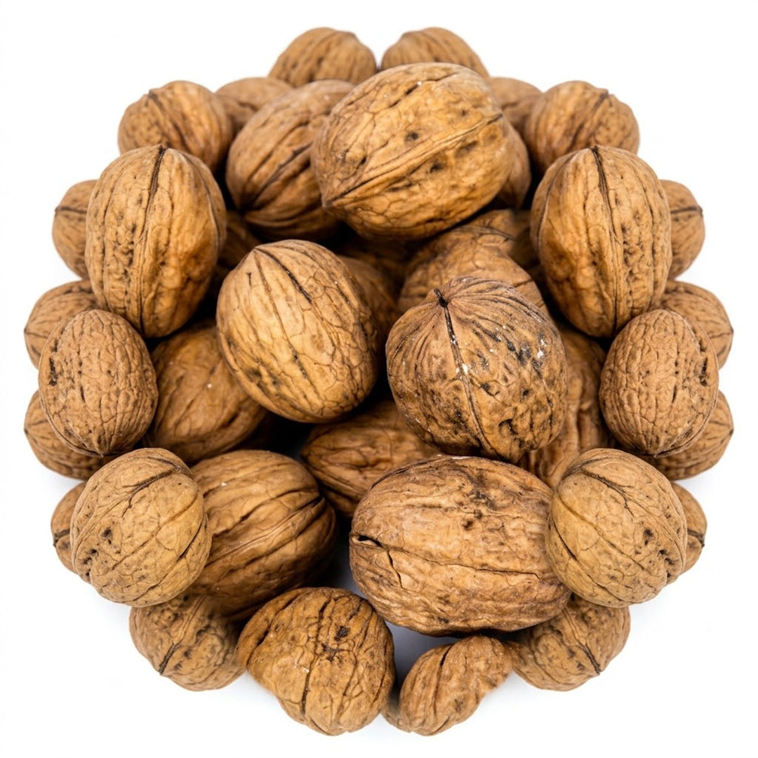 Peeled Whole Walnuts in Shell